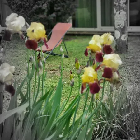 Hotel Kyriad Angouleme Nord Champniers- &