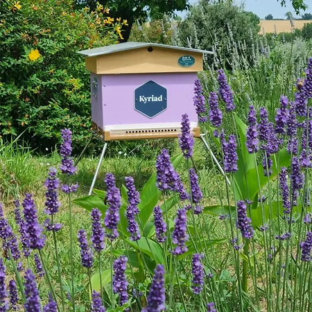 Kyriad Angoulême Nord Champniers- Hôtel&résidence 3* Champniers (Charente)