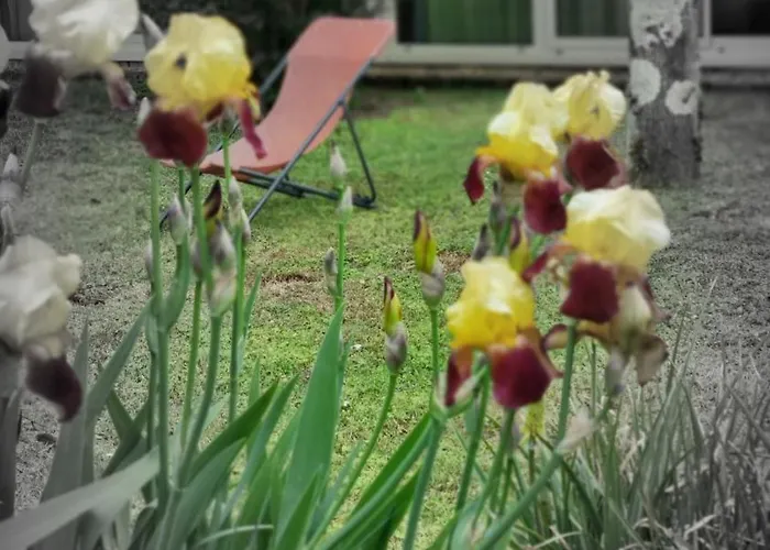 Hotel Kyriad Angoulême Nord Champniers- Hôtel&résidence