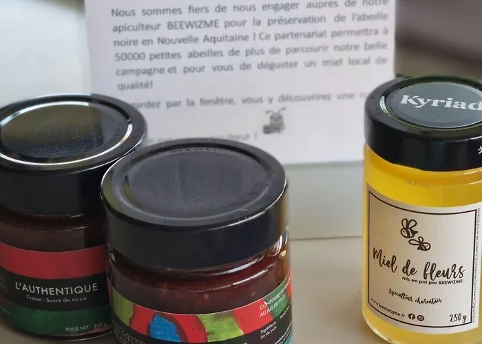 Kyriad Angoulême Nord Champniers- Hôtel&résidence